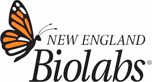 New England Biolabs logo featuring an orange and black butterfly to the left of the text.
