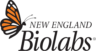 New England Biolabs logo featuring an orange and black butterfly to the left of the text.