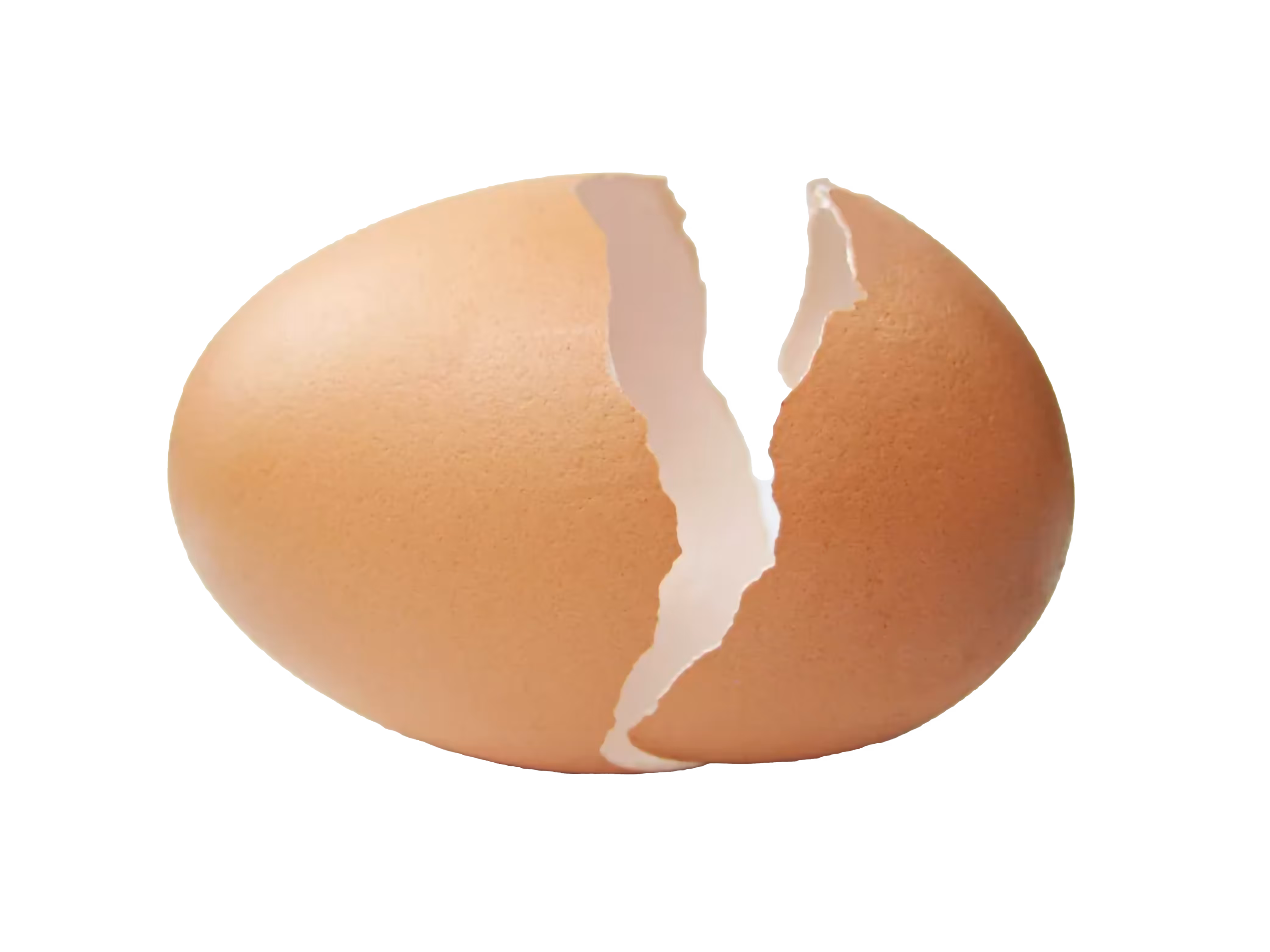 Brown egg cracked open with visible jagged edges on the shell.