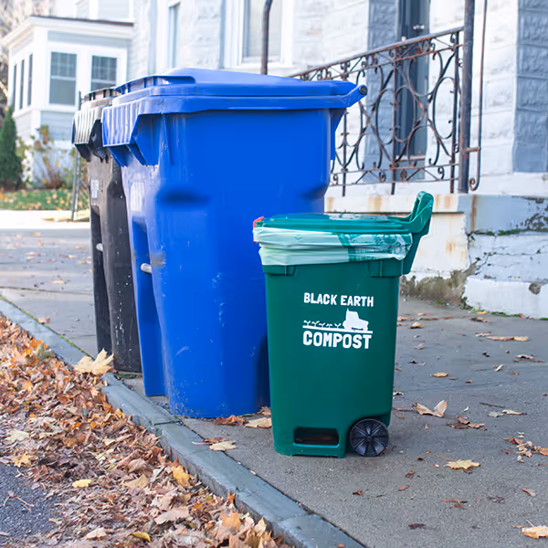 Green compost bin labeled 'Black Earth Compost' next to blue and black recycling bins on a residential curb with autumn leaves nearby.