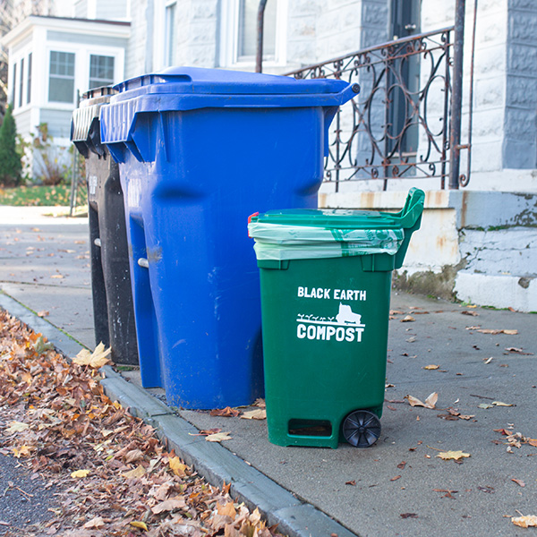 Green compost bin labeled 'Black Earth Compost' next to blue and black recycling bins on a residential curb with autumn leaves nearby.