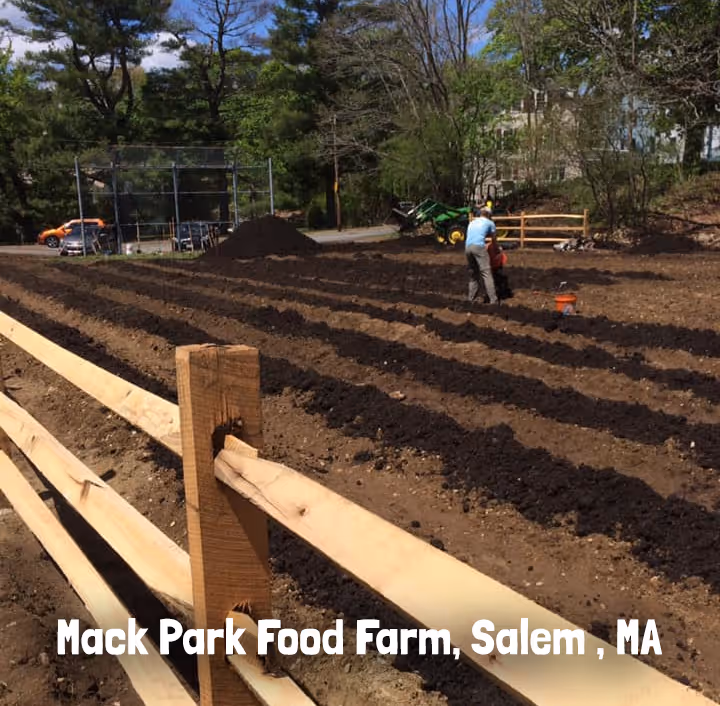 Person working on freshly tilled rows of soil at Mack Park Food Farm in Salem, Massachusetts, with a wooden fence in the foreground.