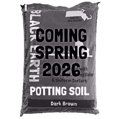 Bag of Black Earth potting soil labeled dark brown, with text overlay reading 'Coming Spring 2026.'