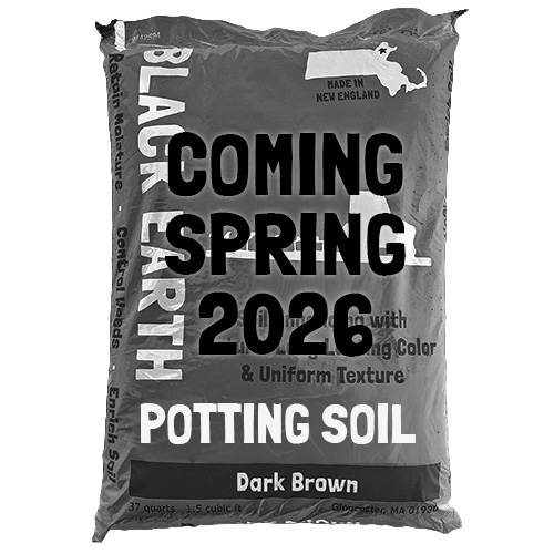 Bag of Black Earth potting soil labeled dark brown, with text overlay reading 'Coming Spring 2026.'