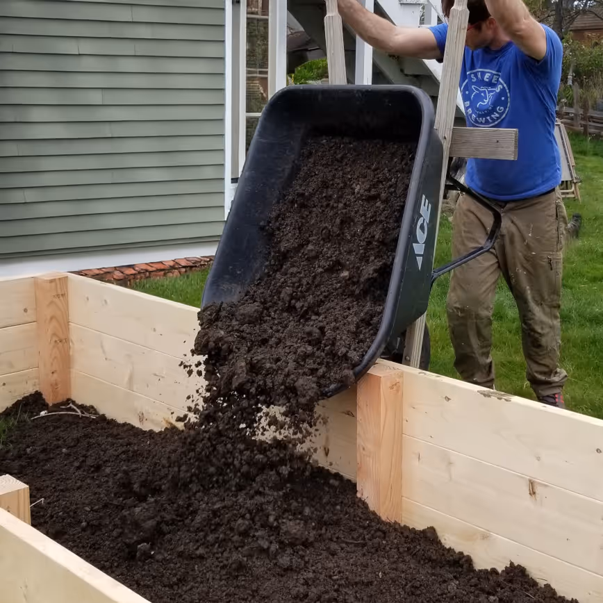 Person dumping soil from a wheelbarrow into a wooden raised garden bed outside a house.