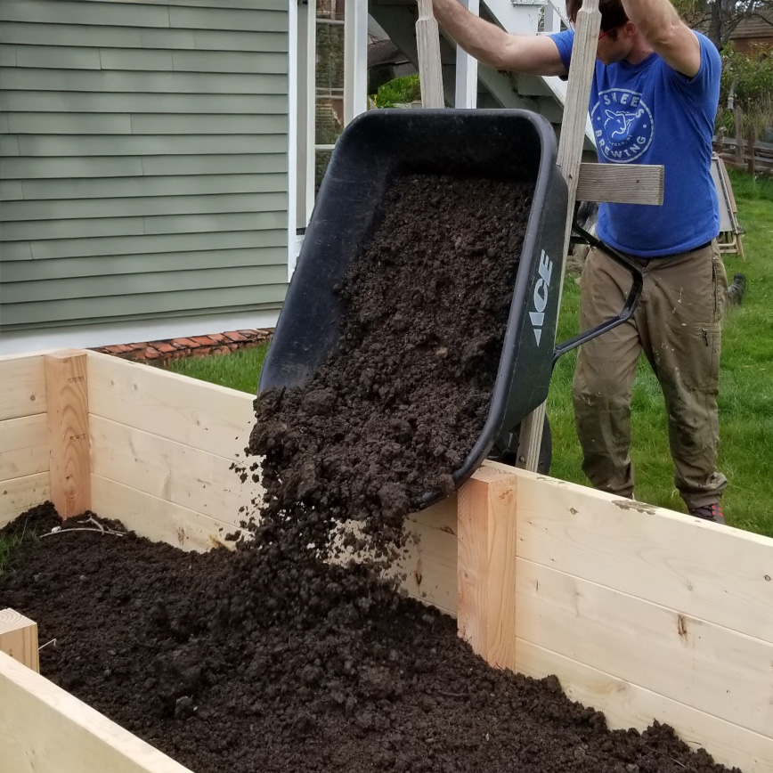 Person dumping soil from a wheelbarrow into a wooden raised garden bed outside a house.