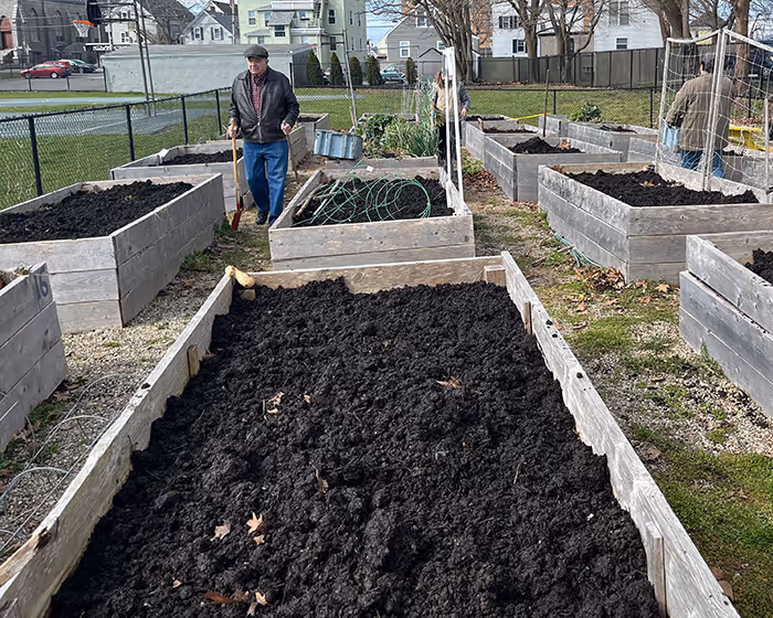 Raised garden beds filled with dark compost soil in an outdoor community garden with people tending to them.