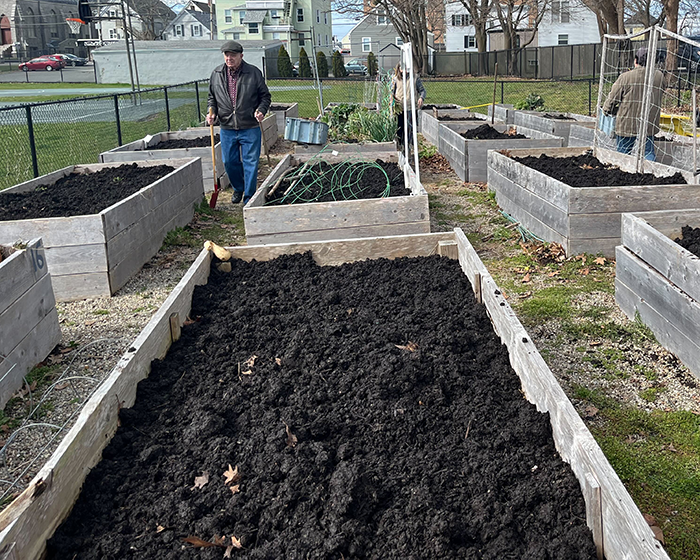 Raised garden beds filled with dark compost soil in an outdoor community garden with people tending to them.