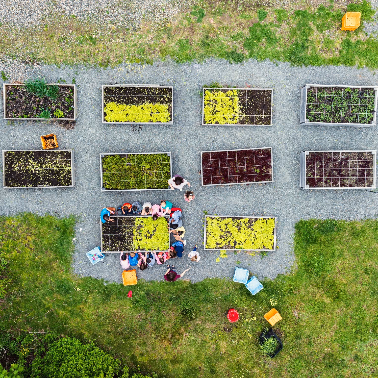 Aerial view of a community garden with raised beds filled with various plants and a group of children gathered around one bed.