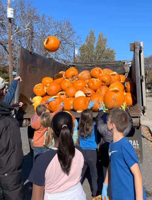 Group of children wearing gloves tossing carved pumpkins into a truck for composting on a sunny day.