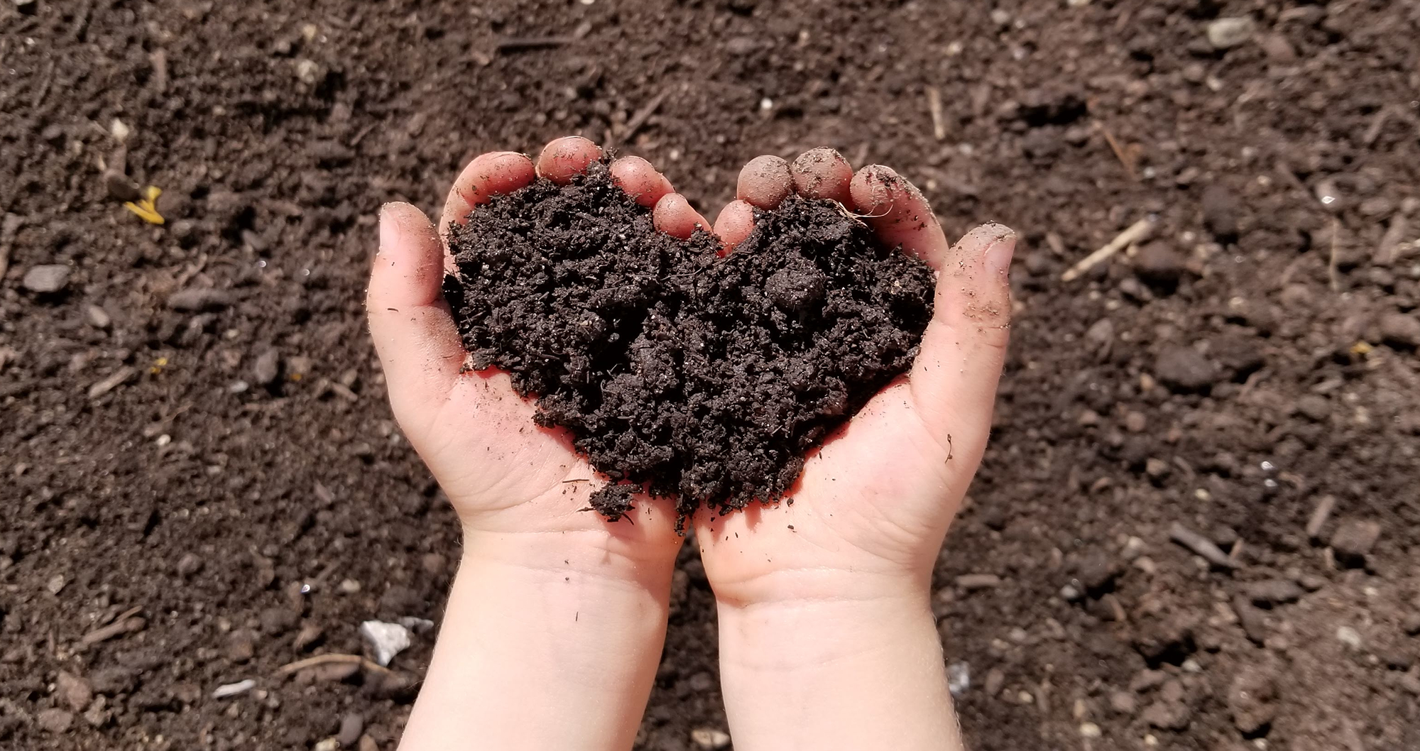 Two hands holding dark soil shaped like a heart over a soil background.
