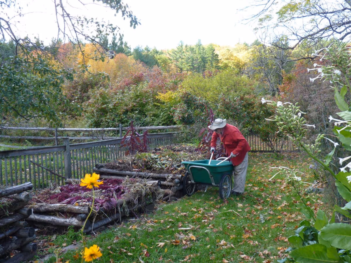 Person in a red jacket tending compost piles beside a wooden fence in a garden with autumn foliage.