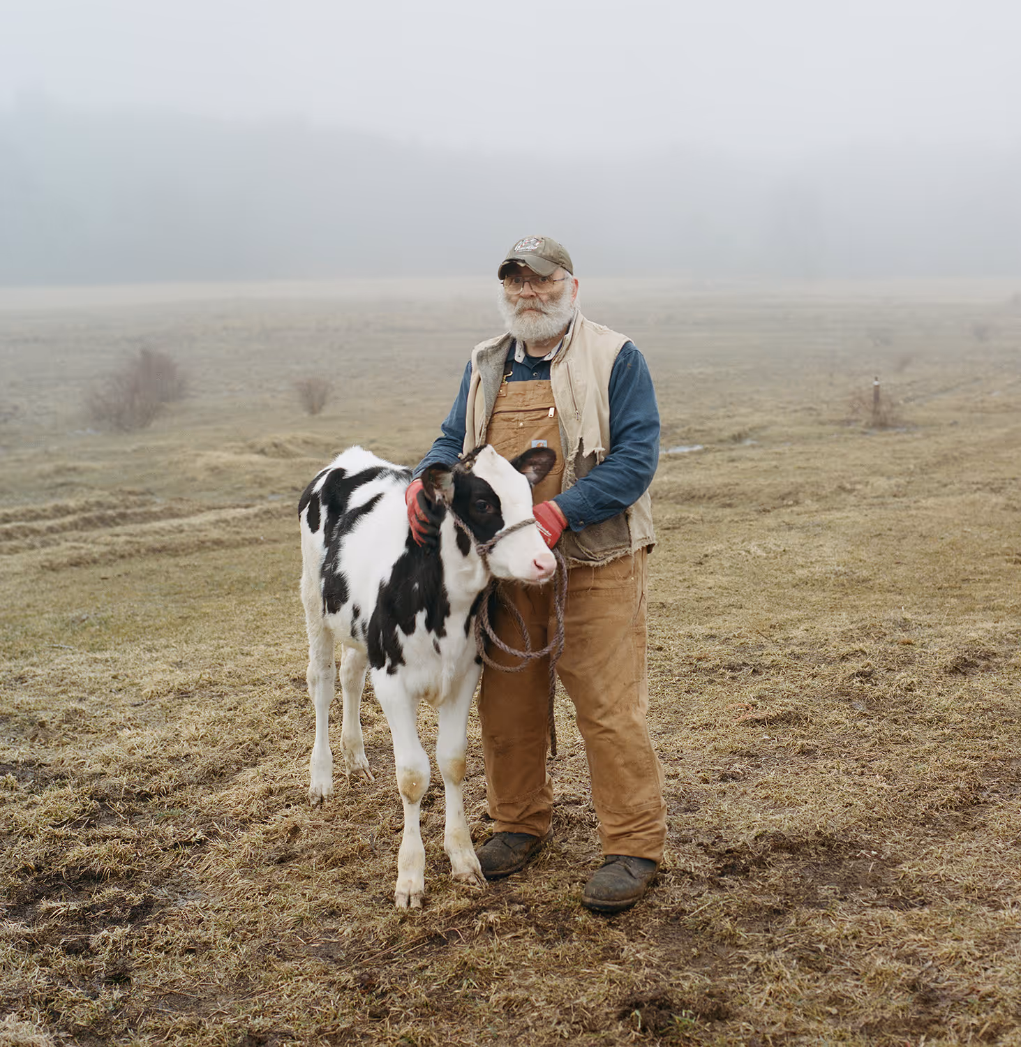 Bearded man in work clothes standing in a field holding a black and white calf by a rope halter.