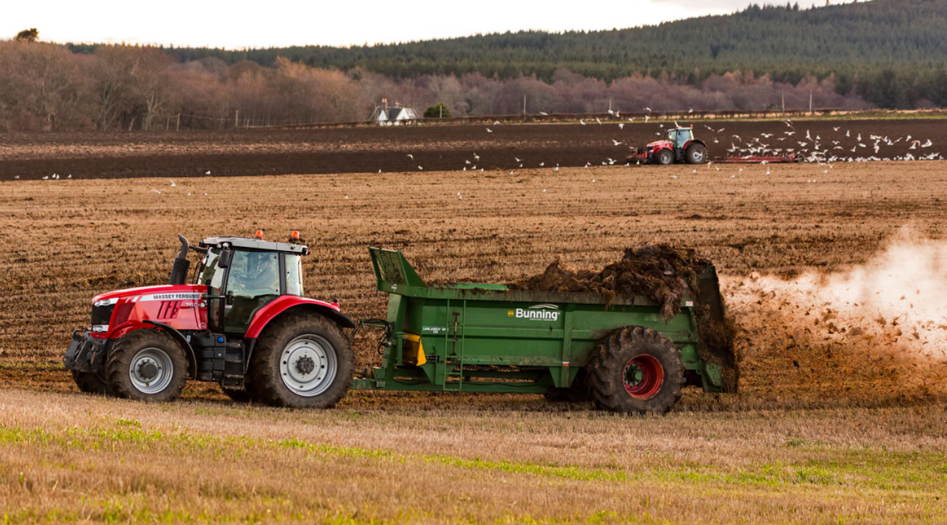 Red Massey Ferguson tractor towing a green Bunning manure spreader dispersing manure on a farm field with another tractor and birds in the background.