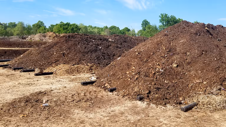 Several large piles of mulch or compost material outdoors with green trees and blue sky in the background.