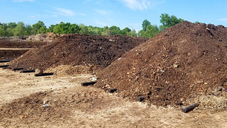 Several large piles of mulch or compost material outdoors with green trees and blue sky in the background.