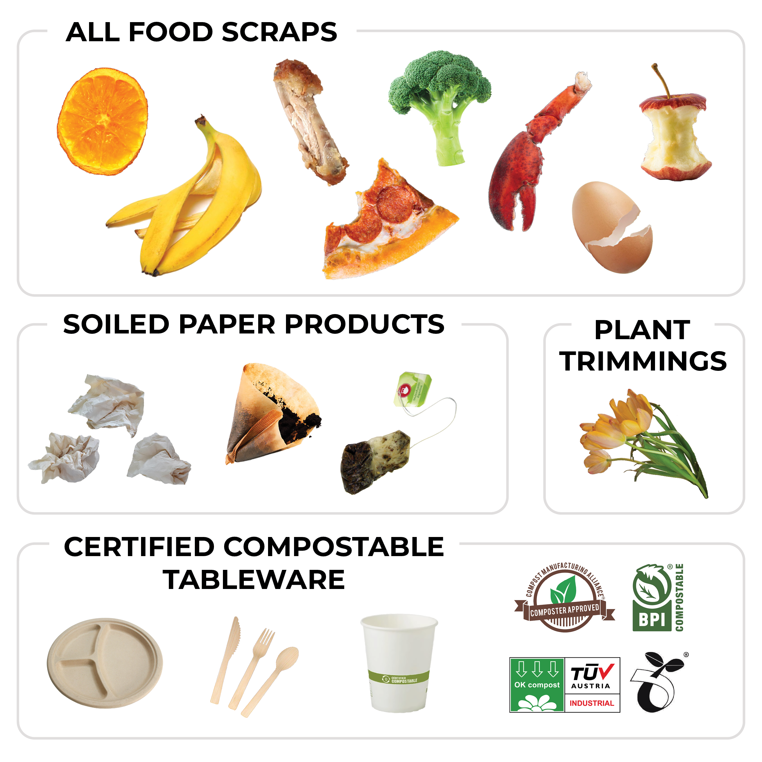 Infographic showing compostable items categorized as All Food Scraps with images of orange slice, banana peels, chicken bone, broccoli, lobster claw, pizza slice, apple core, and cracked eggshell; Soiled Paper Products with crumpled paper, coffee filter, and used tea bag; Plant Trimmings with yellow-orange flowers; and Certified Compostable Tableware featuring a divided plate, wooden cutlery, a compostable cup, and four compost certification logos.