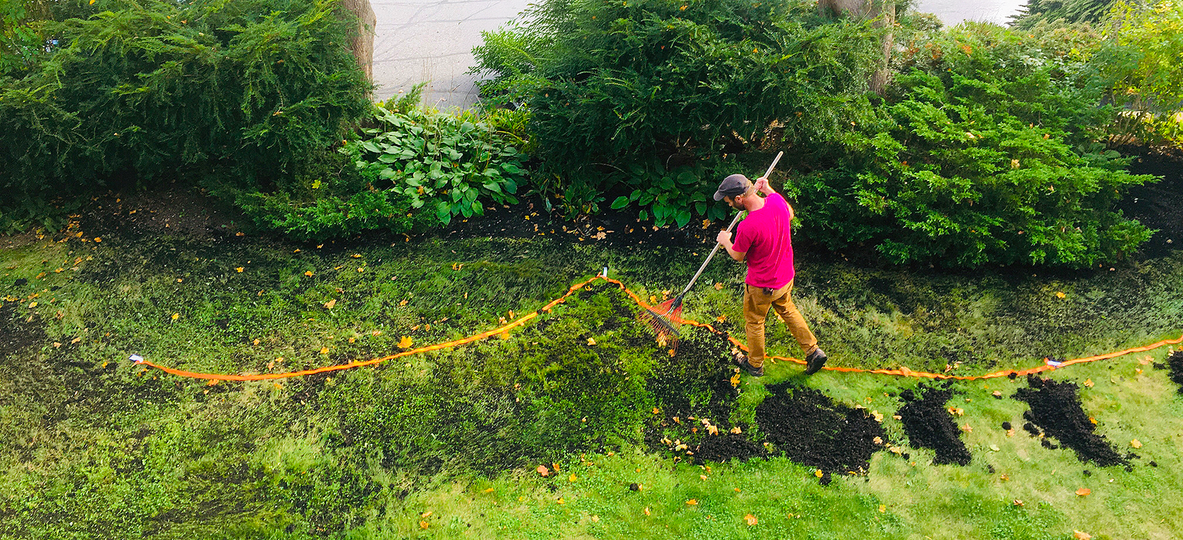 Person wearing a red shirt and tan pants raking dark compost onto a lawn next to green bushes and plants.