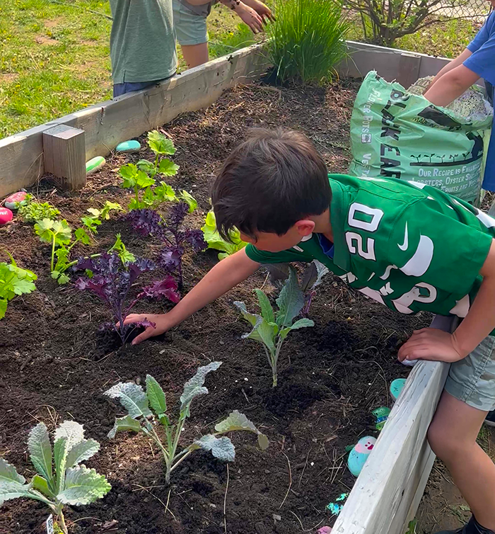 Child in a green jersey planting leafy greens in a raised garden bed with other plants and colorful painted rocks around the edges.
