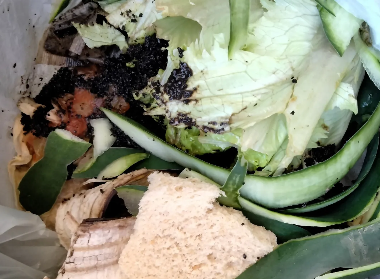Close-up of mixed food scraps and organic waste including lettuce leaves, cucumber peel, banana peel, bread piece, and soil in a compost bin.