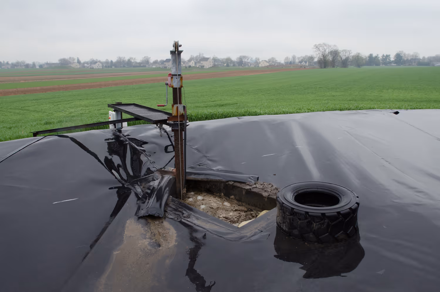 Open methane digestor tank covered with a black plastic tarp, with a mechanical device and tire on top, set in a green field under cloudy sky.