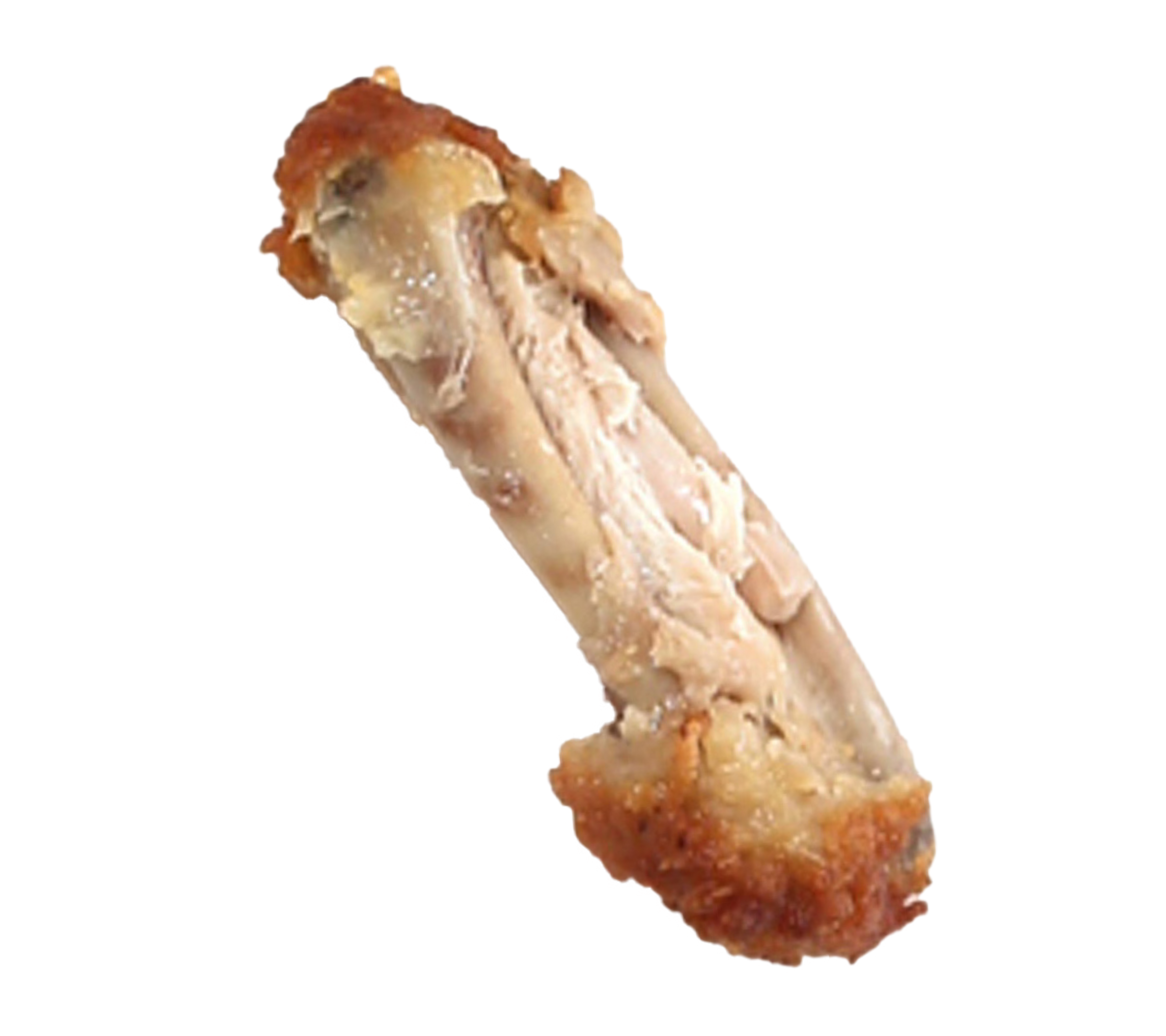 Partially eaten fried chicken bone with some meat residue.
