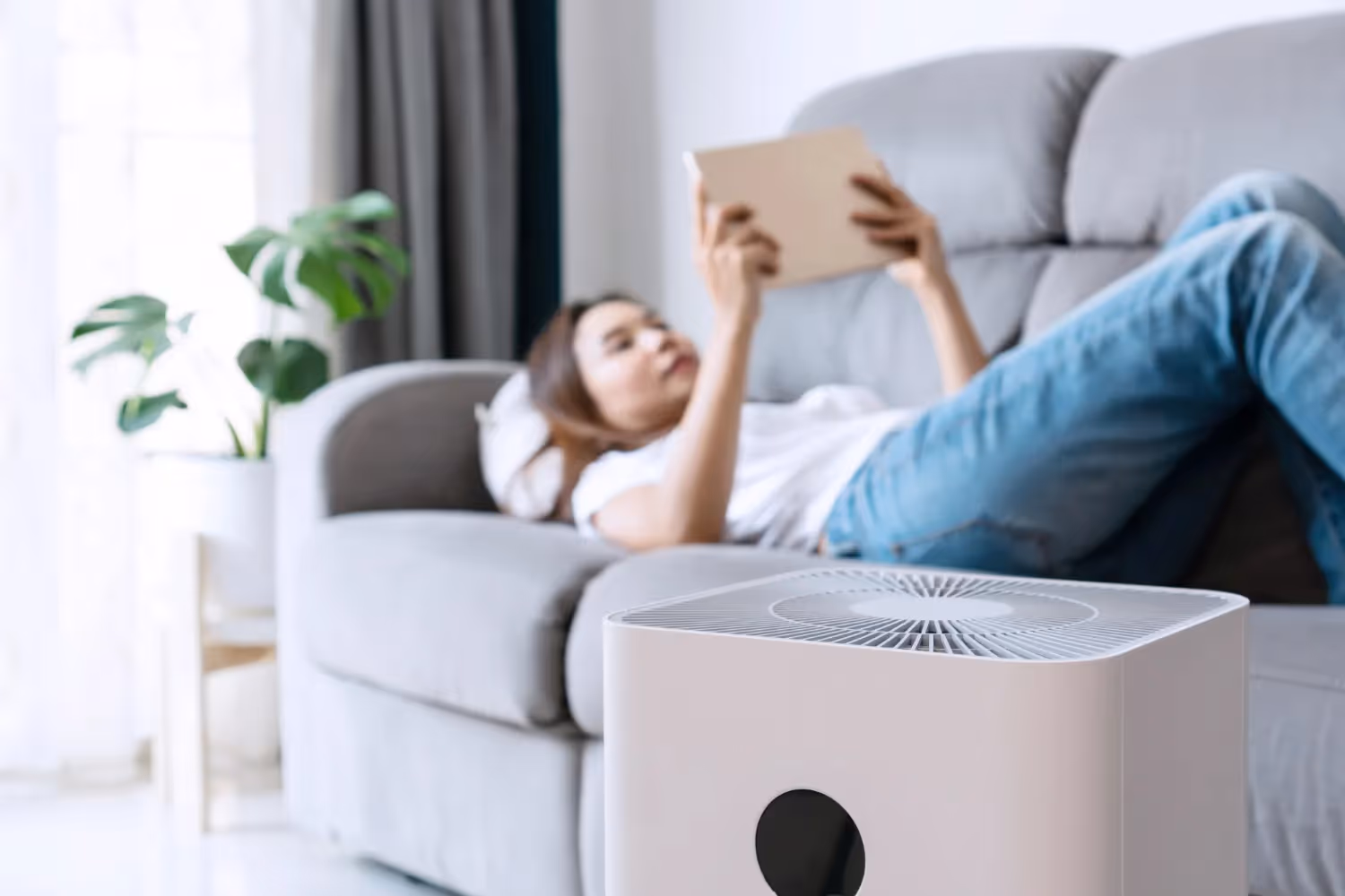 Spring Allergies and Your Home's Air Quality: Professional Solutions That Work