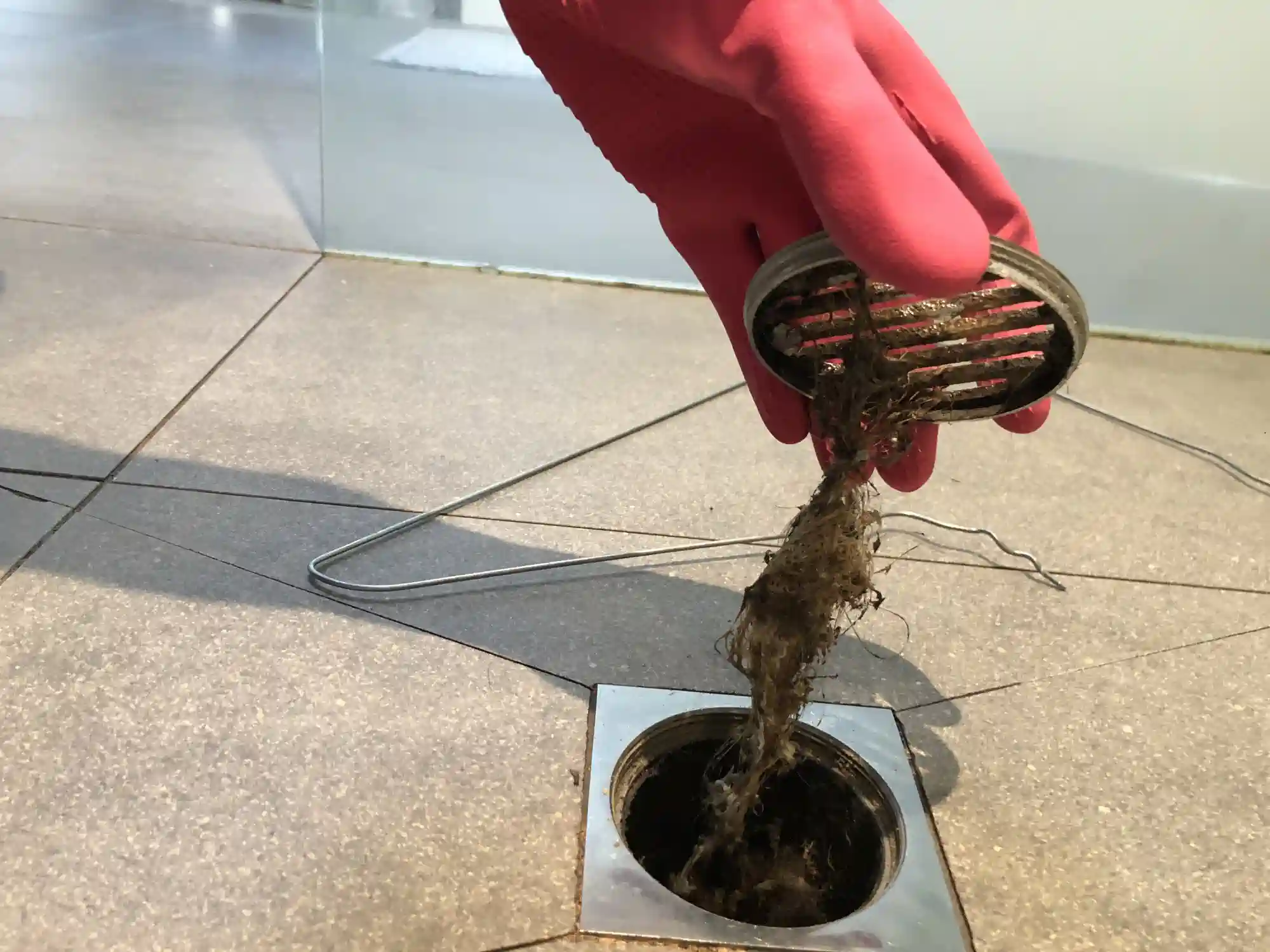 A person wearing a bright pink rubber glove is holding up a round metal drain cover, from which a large clump of dark, stringy hair and grime is hanging.