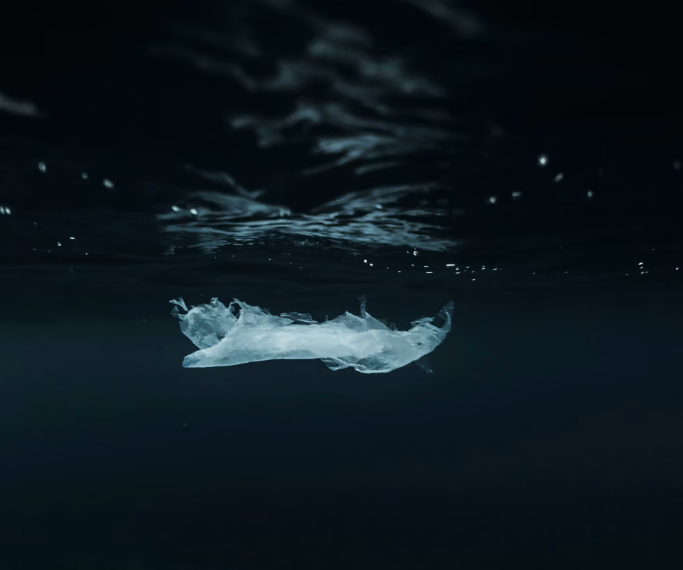 A torn plastic bag floating underwater against a dark background.