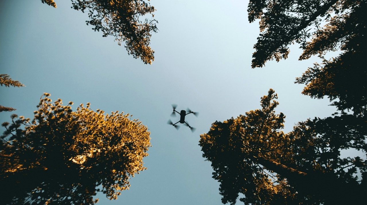 A drone flies in the forest on a clear day with blue sky