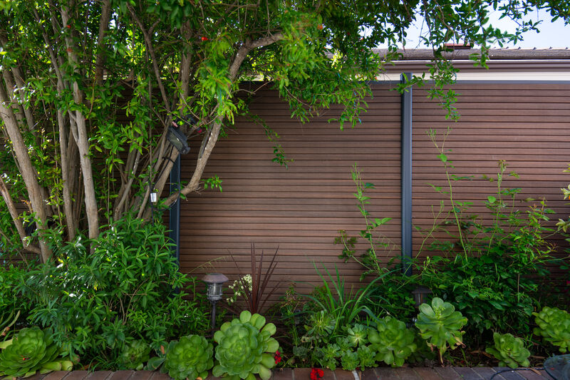 Garden bed with various green plants and succulents in front of a horizontal wooden fence with a tree extending branches over it.