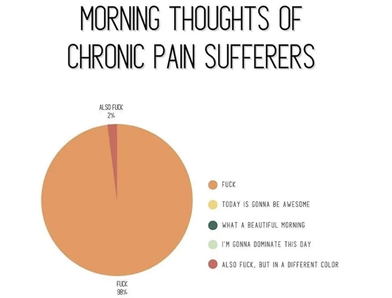 A pie chart titled 'Morning thoughts of chronic pain sufferers'. The chart is divided into 89% orange and 2% red.
The orange section is labelled 'fuck' and the red section is labelled 'also fuck'.