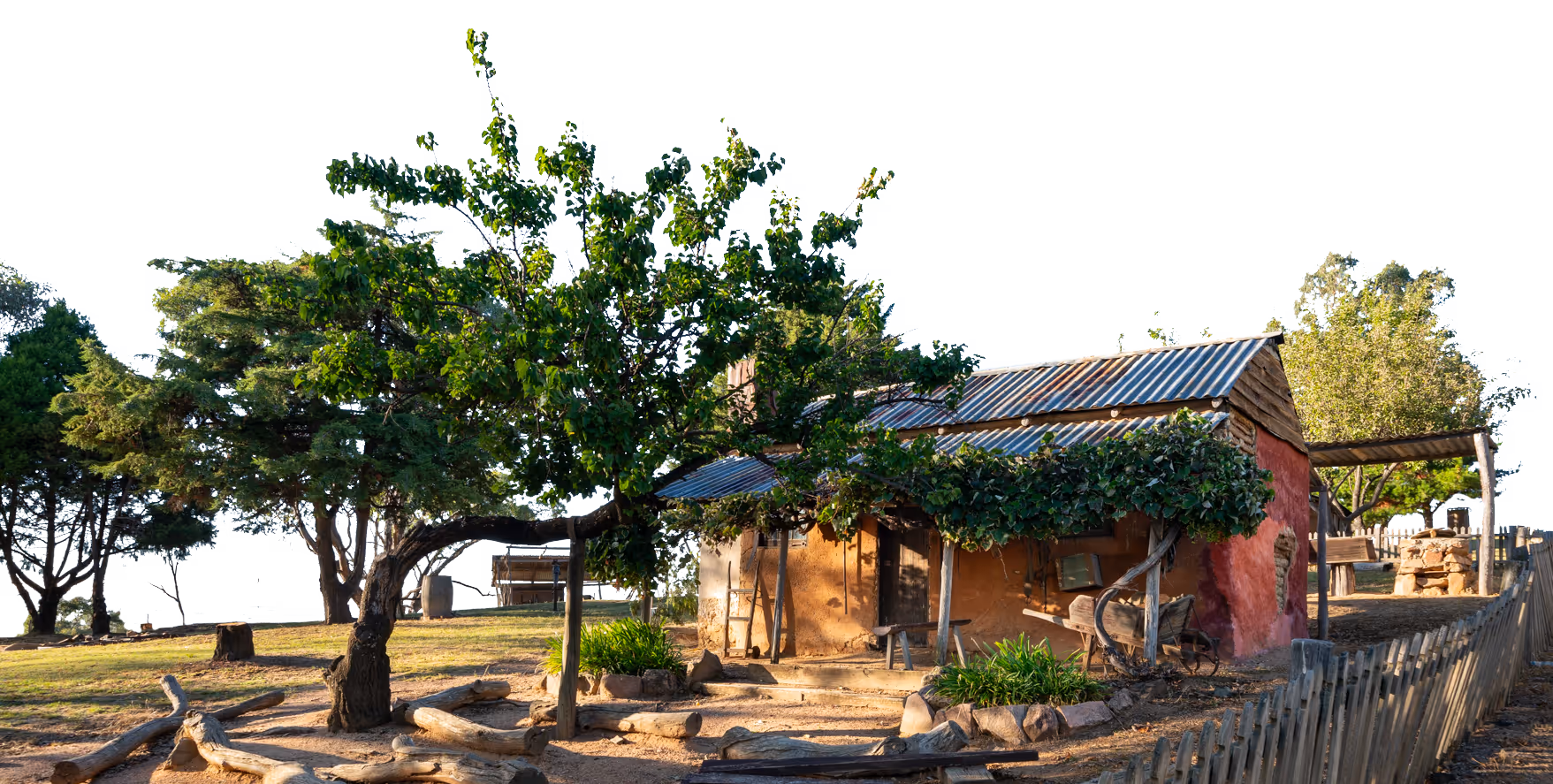 Rustic small house with a tin roof surrounded by trees and a wooden fence under a clear blue sky.