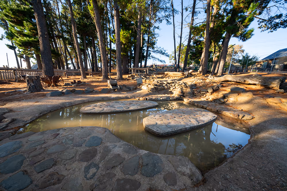 Stone-lined shallow pond with two large flat stepping stones, surrounded by tall pine trees and a dirt path.