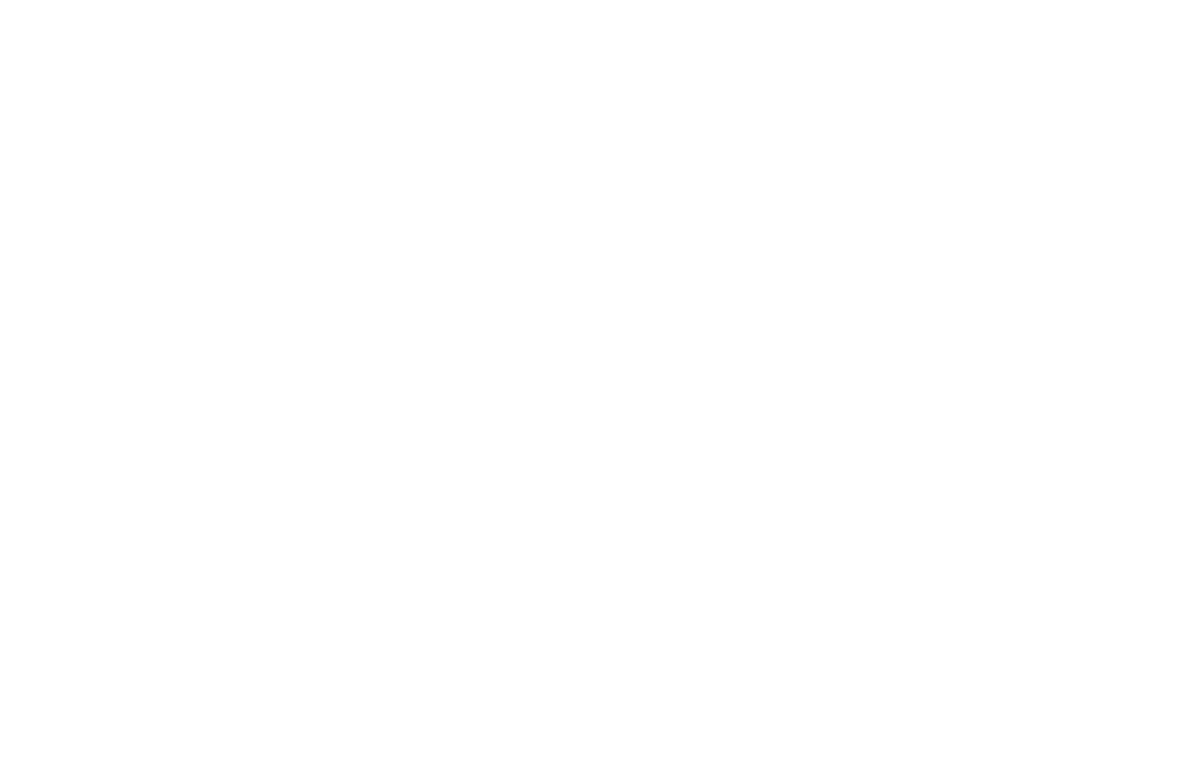 Brnad Logo