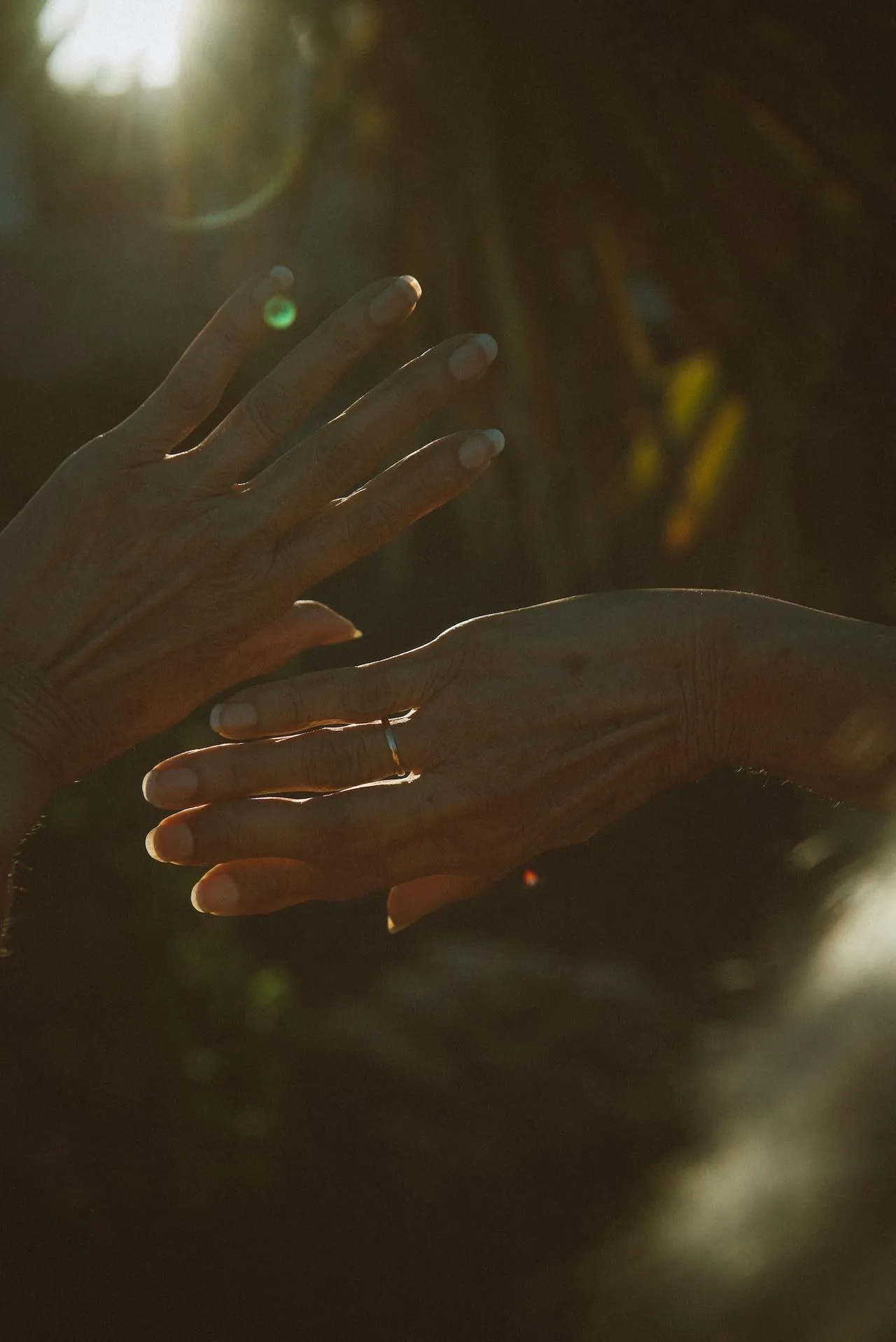 feminine hands reaching for sun