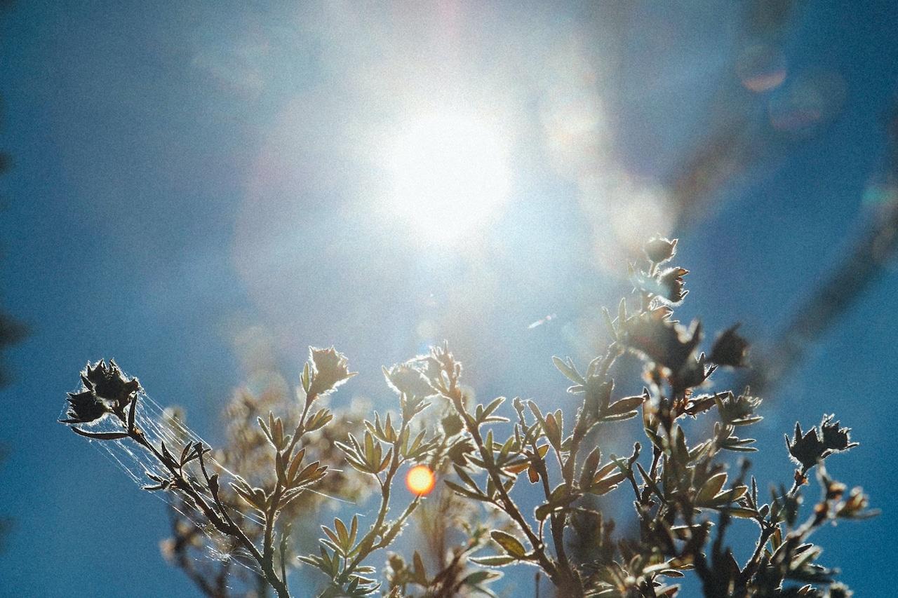 hands reaching for hope from opioids and addiction withdrawal