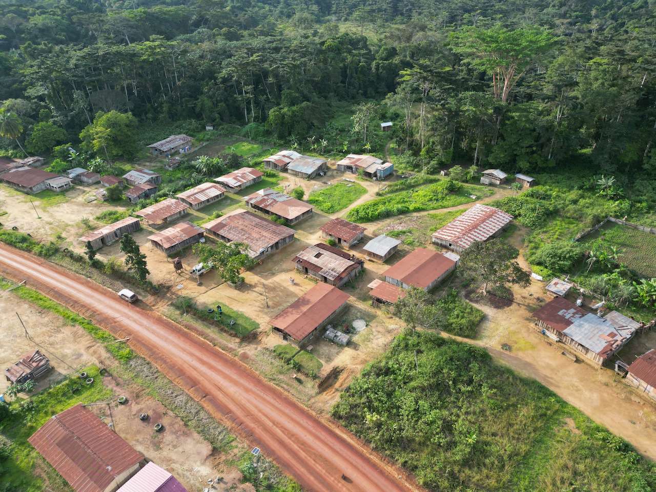 aerial-Abyeng-Most Mature Iboga Farm in the World