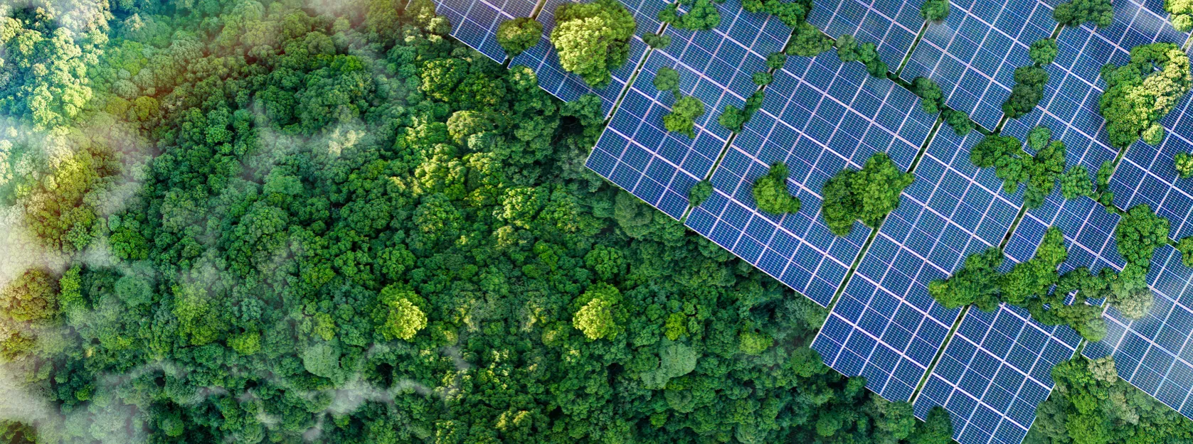 Aerial view of solar panels integrated within a dense forest, symbolizing renewable energy, sustainability, and harmony between technology and nature.