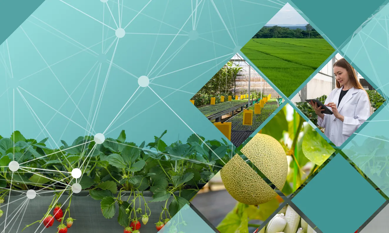 Collage illustrating modern agriculture and agritech innovation, featuring crops, greenhouses, a scientist using a tablet, and digital network lines symbolizing smart farming and data-driven cultivation.