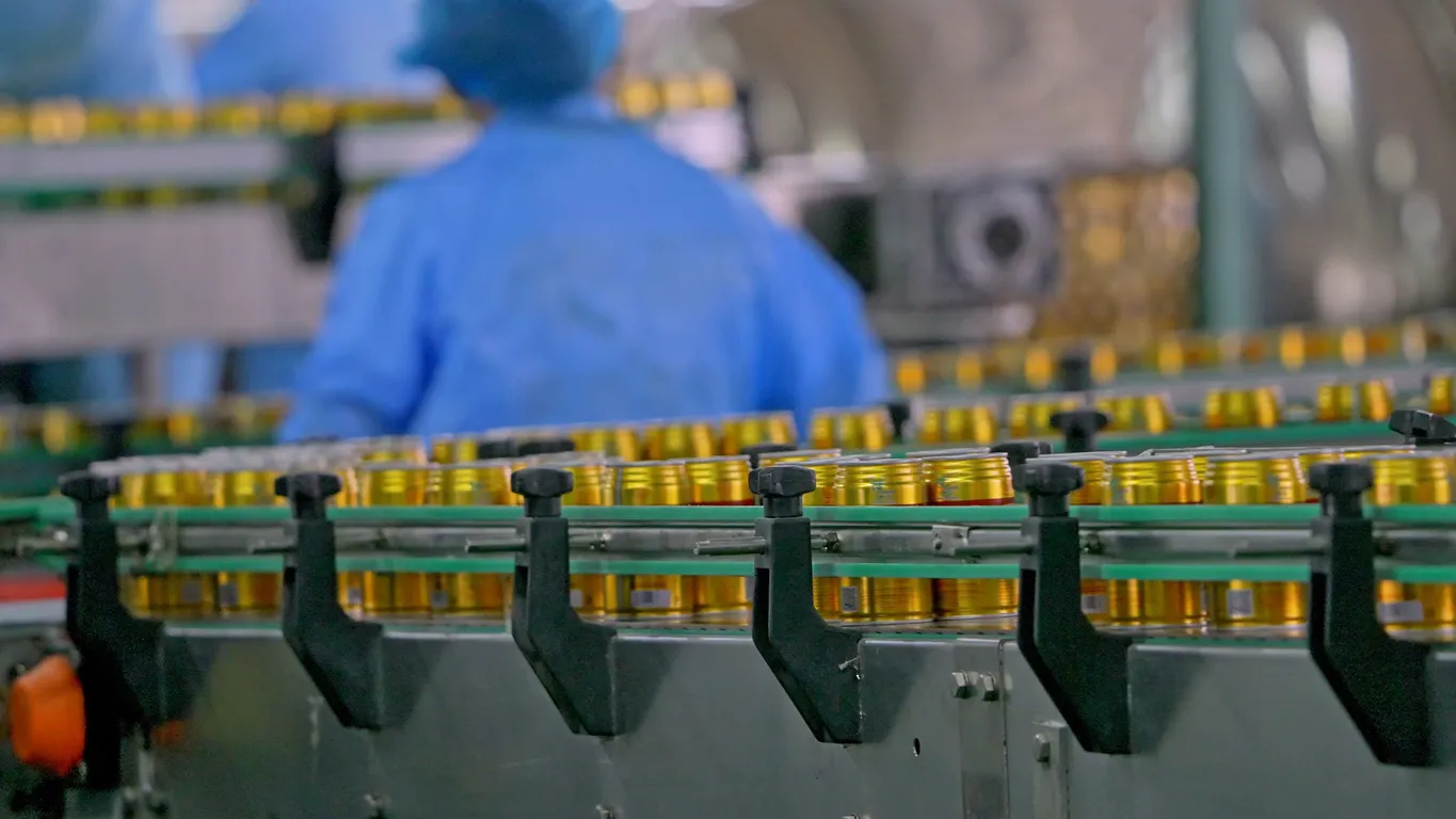 Rows of metal cans moving along a conveyor belt in a food processing factory, with workers in blue uniforms managing the production line.