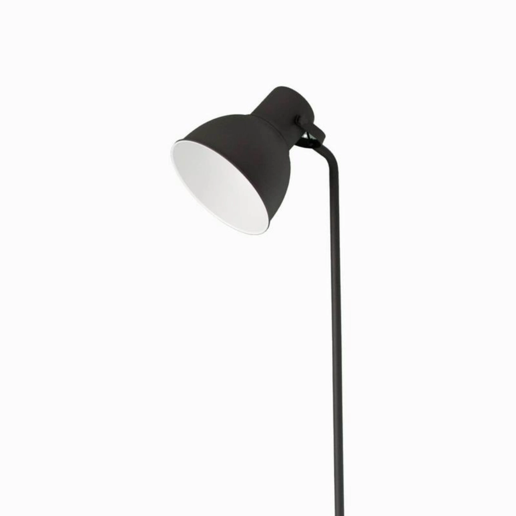 Studio Lamp