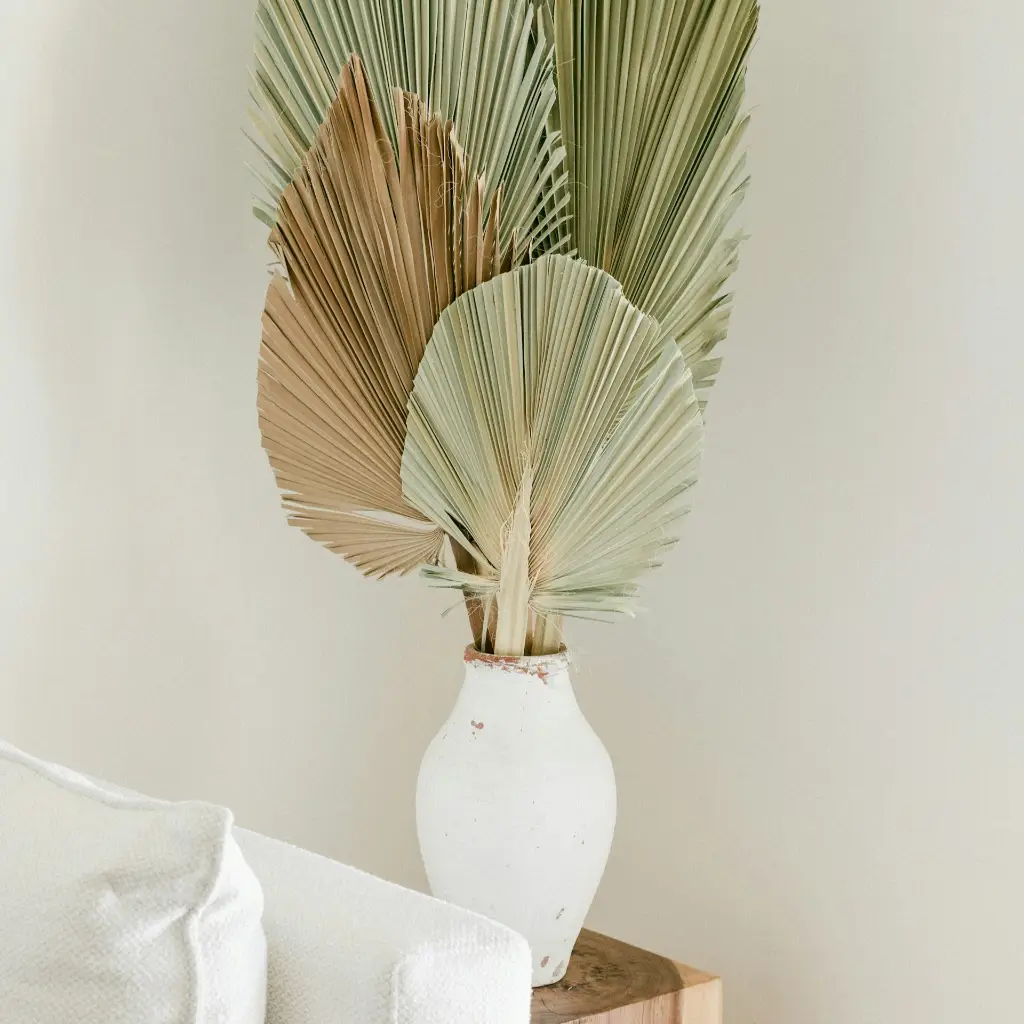 Savana Style Plant