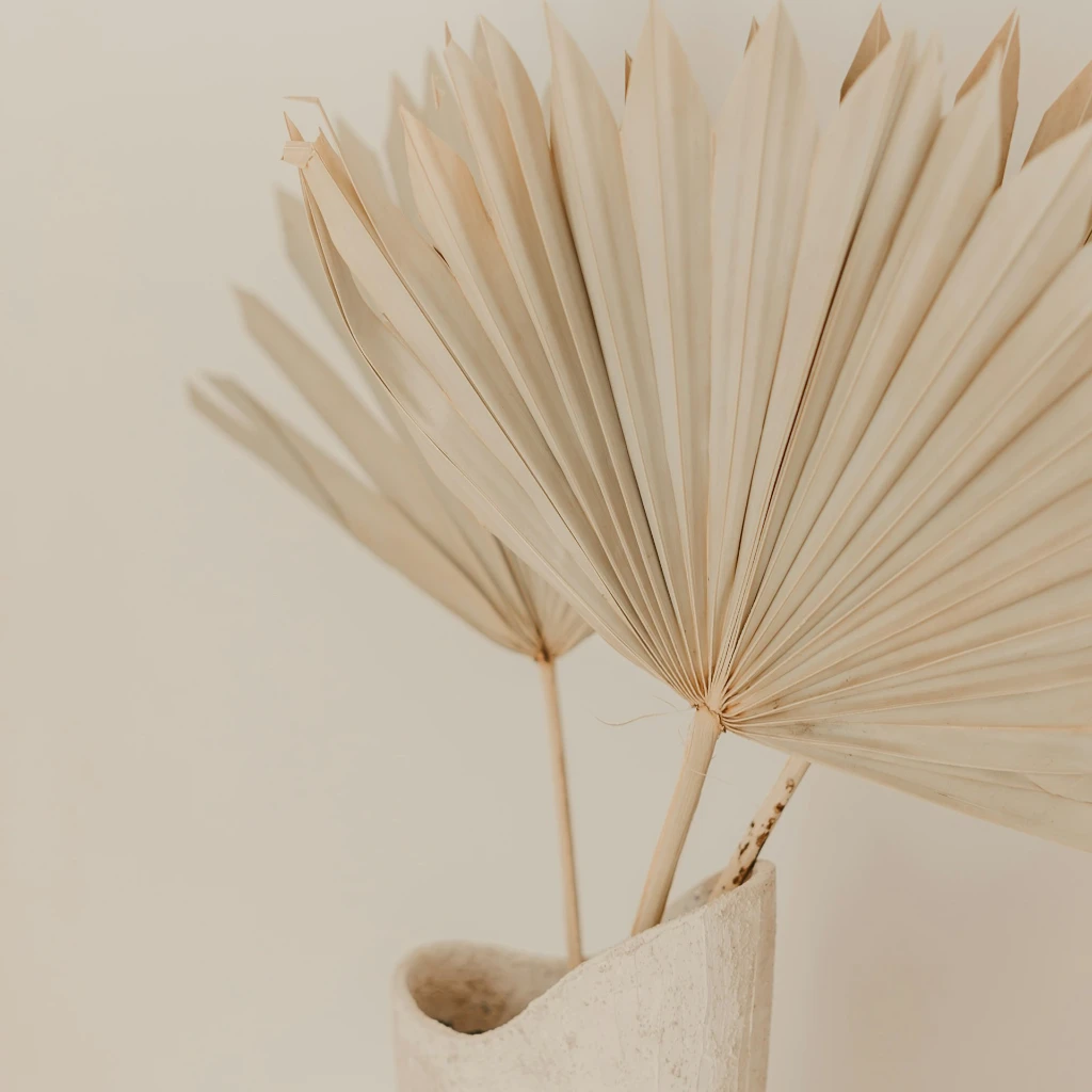 Savana Style Plant
