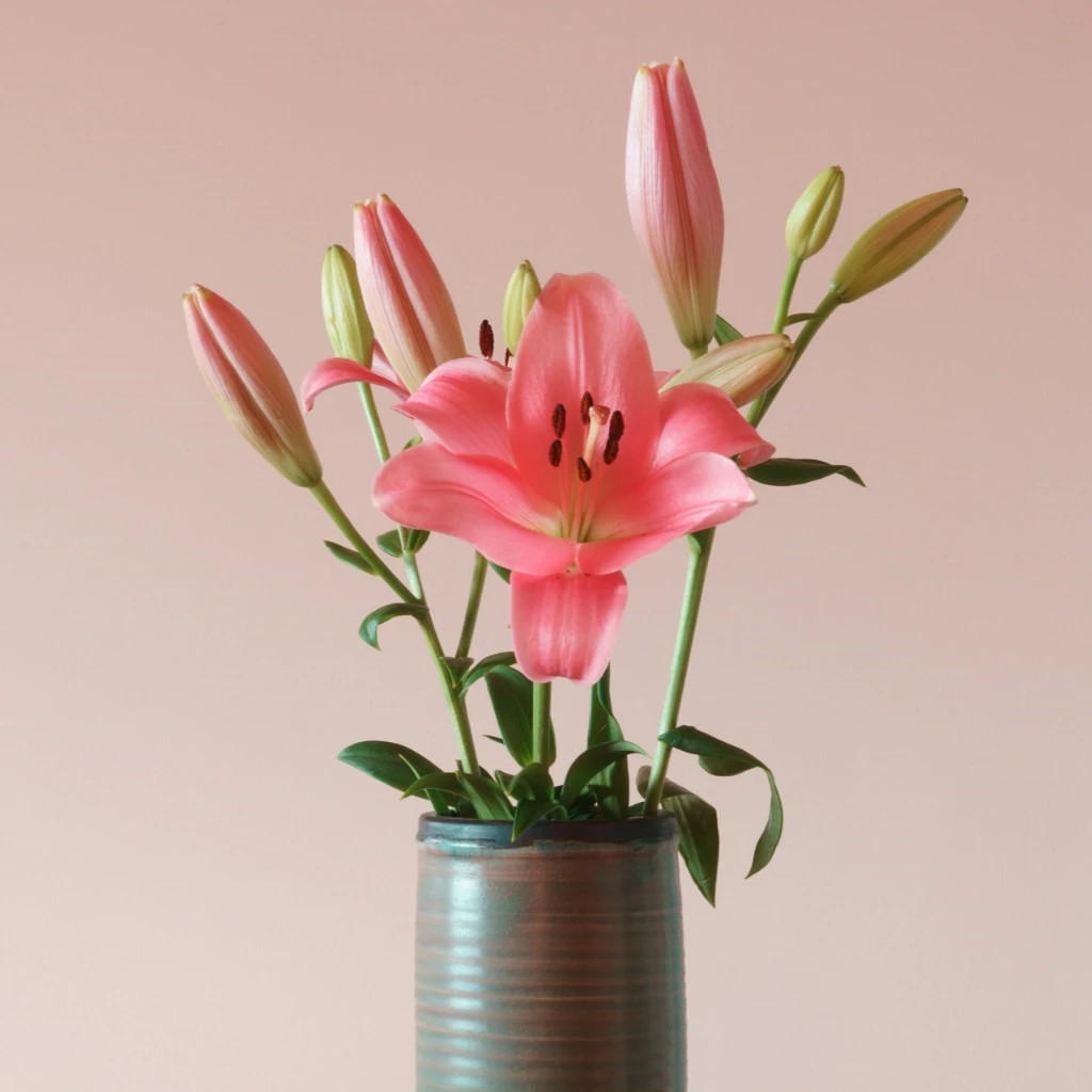 Wooden Short Pot