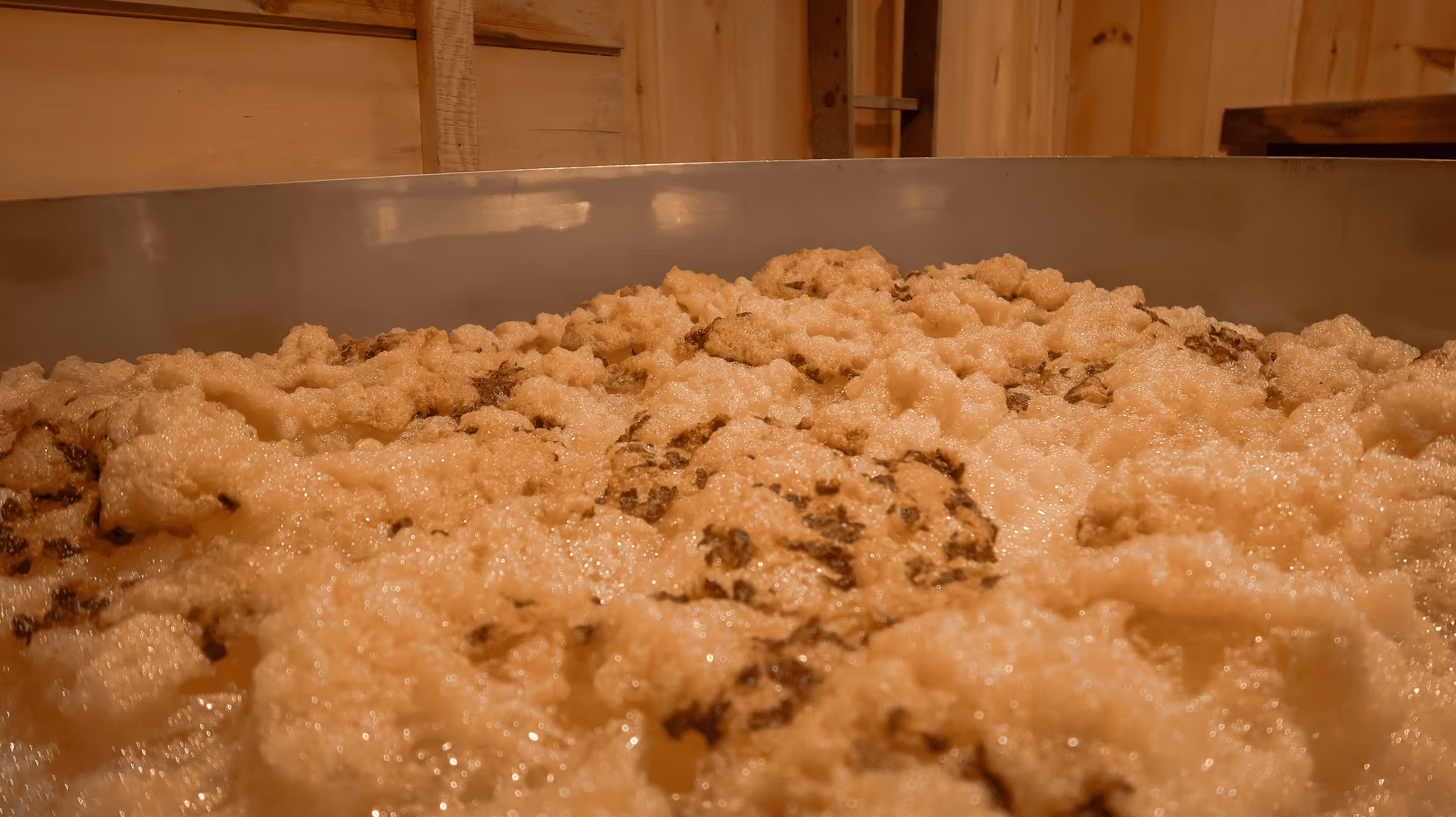 Lumpy wet sand or grain mixture with scattered dark specks