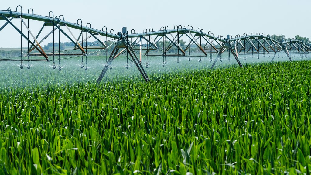Picture of a field with an irrigation system