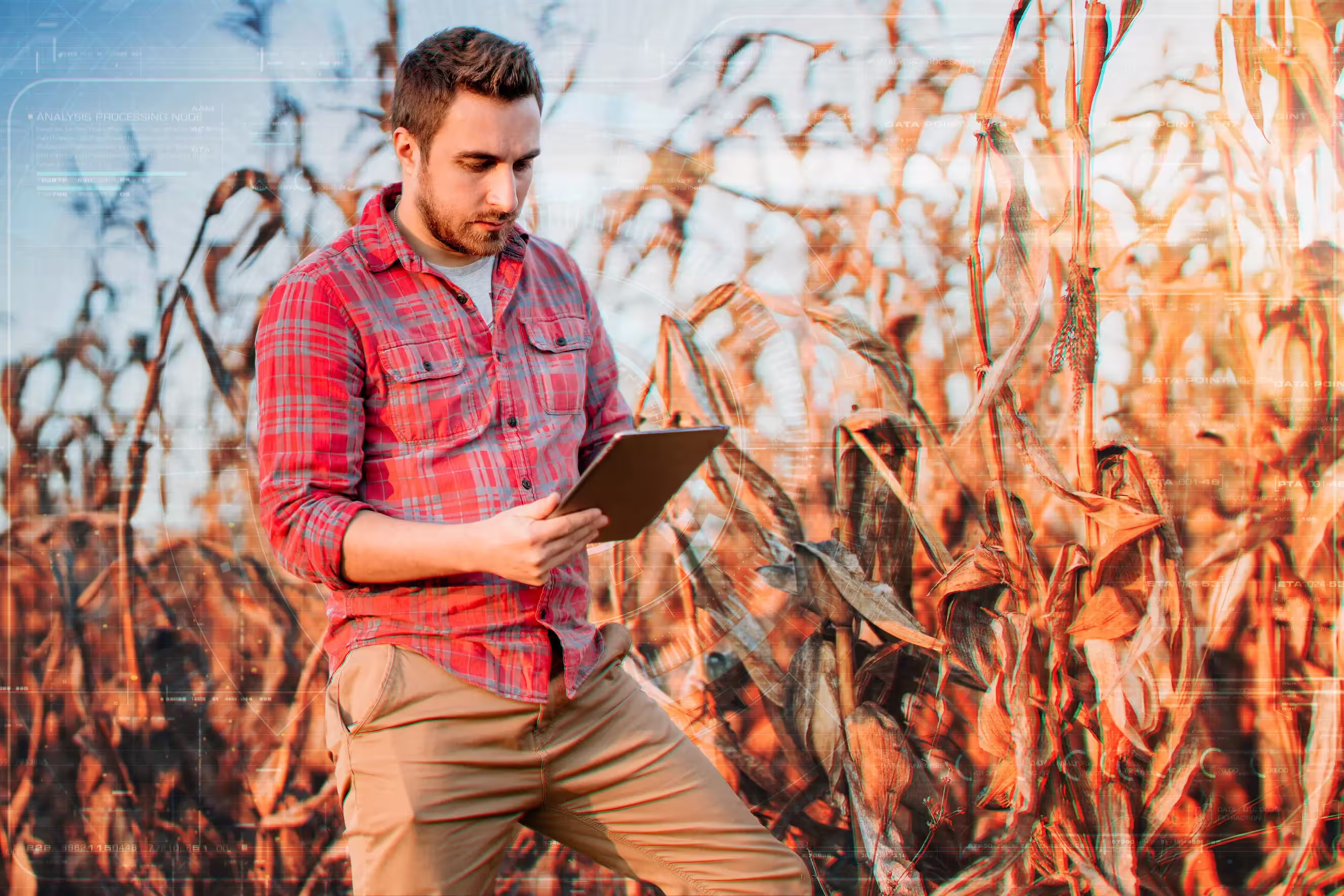 El auge del IoT de Agtech: qué impulsa la adopción
