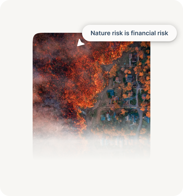 Aerial view of a wildfire burning near houses with the caption 'Nature risk is financial risk'.
