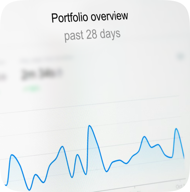 Line graph showing portfolio overview trends over the past 28 days on a white background.
